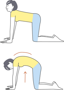 腰椎すべり症に効果的なストレッチ